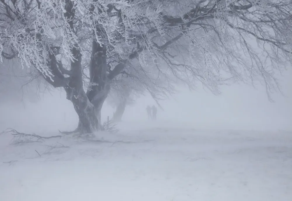 Prognoza meteo: Cod galben de ninsori însemnate cantitativ şi viscol, în zona de munte, până vineri dimineaţă