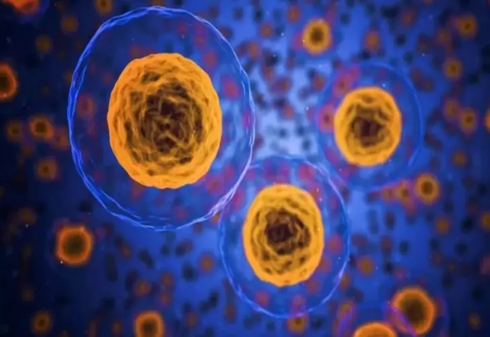 Descoperire epocală! Cercetătorii au aflat cum rezistă celulele canceroase la chimioterapie