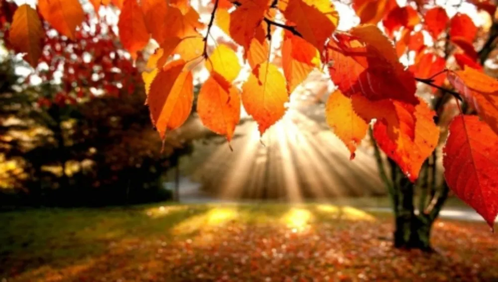 Vremea 24 octombrie - Temperaturi peste media normală a acestei perioade