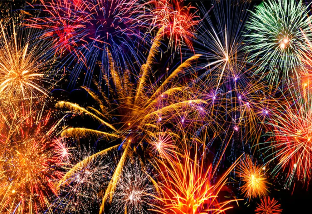 ANPM: Artificiile de Anul Nou sunt un dezastru pentru păsări și animale și poluează aerul