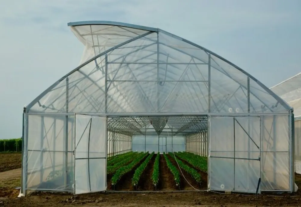 Bolojan, despre taxa pe sere: Se aplică doar celor industriale, nu solariilor din gospodării