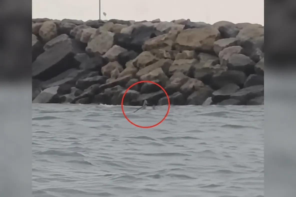 Alertă pe litoral! Dronă maritimă observată la Costinești, lângă un dig  VIDEO 