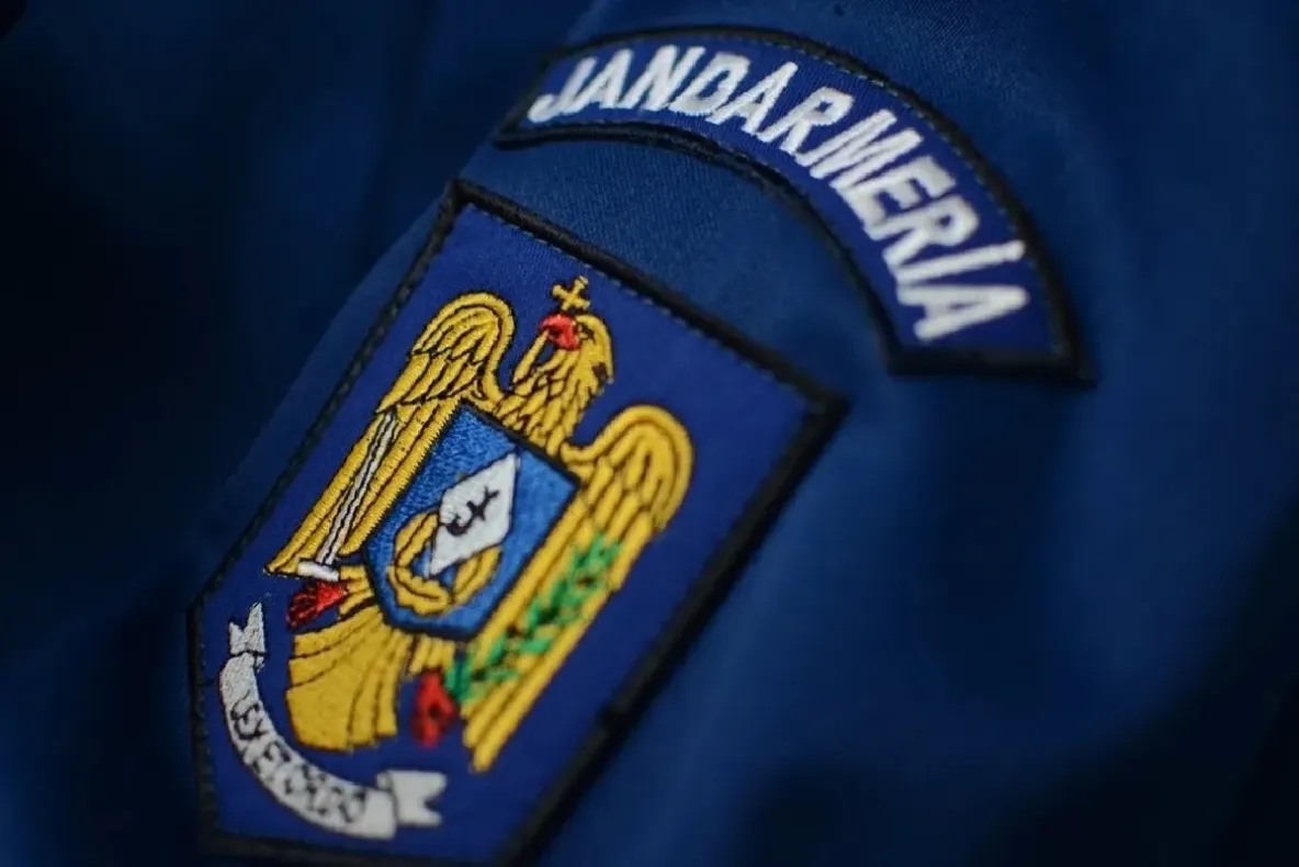 Dreptate după 7 ani. Clujean bătut la Untold în duba Jandarmeriei, despăgubit cu peste 25.000 de lei