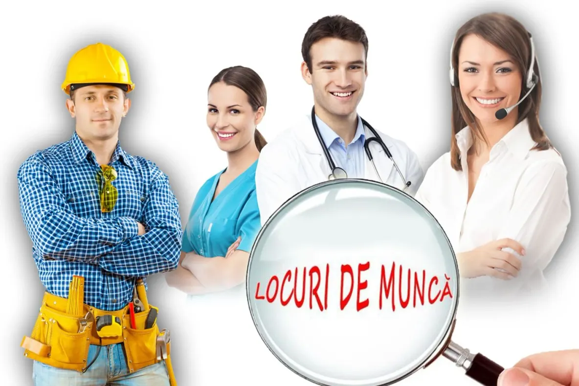 Cum se schimbă piața muncii din România: angajat sau independent?