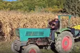 Bani pentru fermierii afectați de secetă! Cine poate primi ajutorul și când se depun cererile