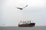 Marea Neagră devine tot mai periculoasă. Două nave comerciale au fost lovite de drone, iar marinarii cer să fie duși la mal