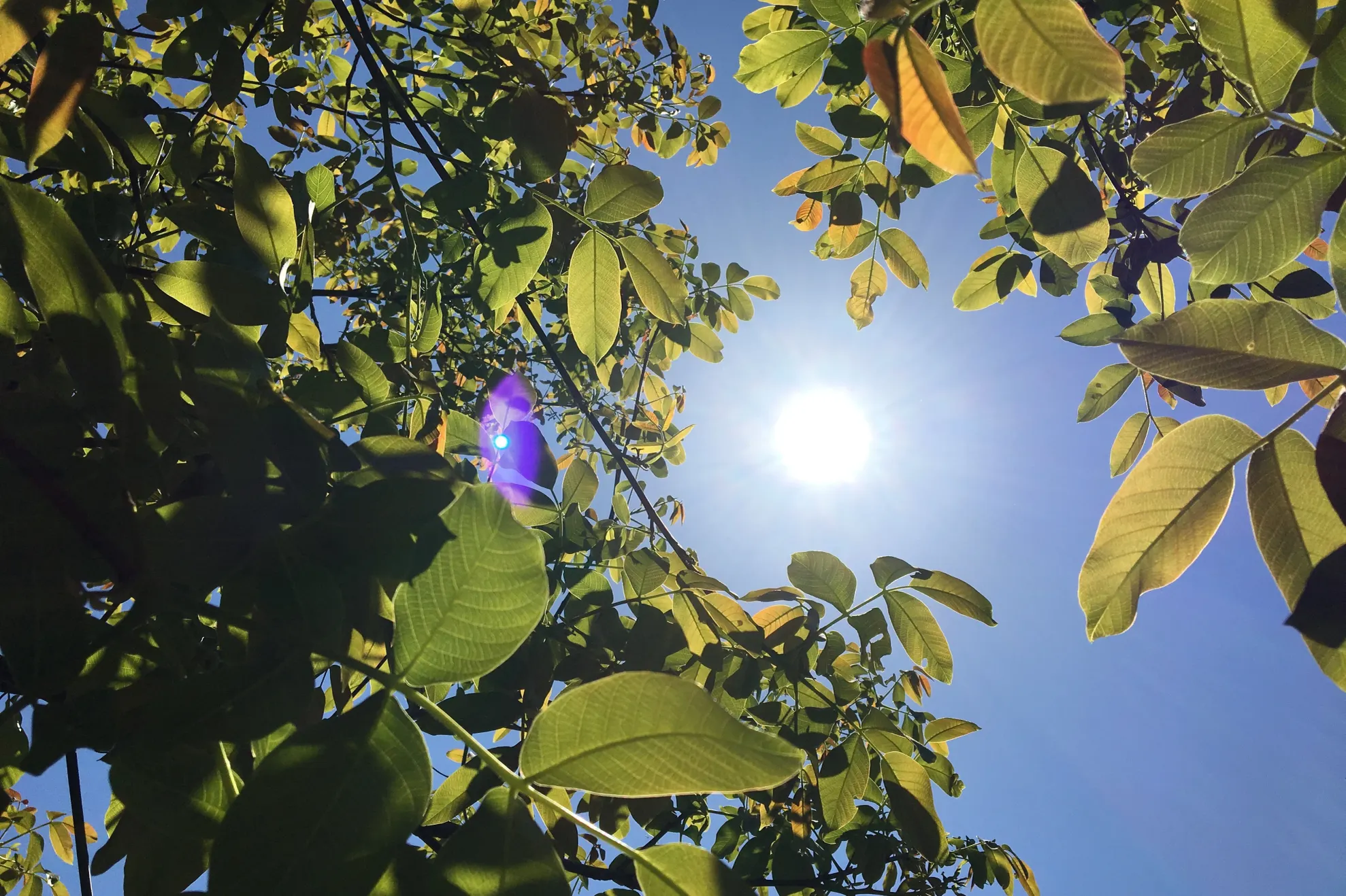 Prognoza meteo pentru 31 august