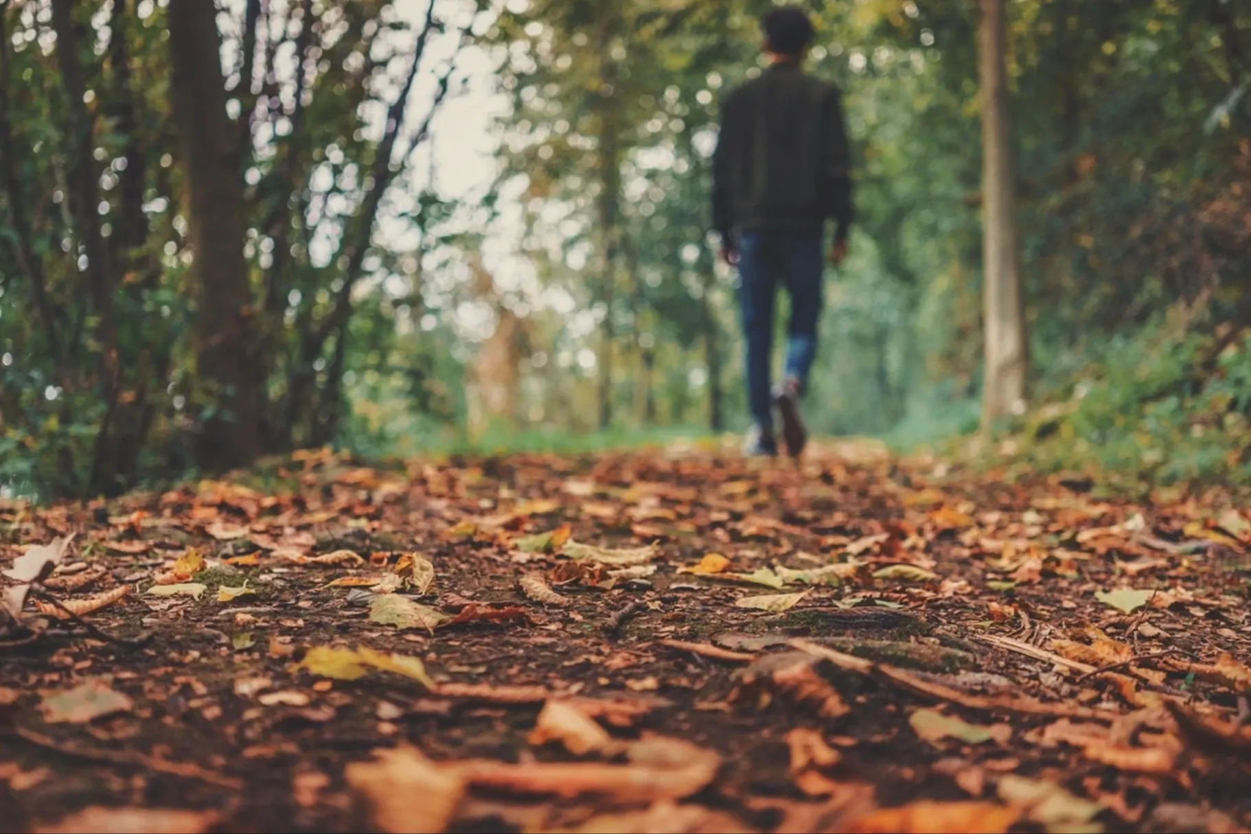 FOTO: Pixabay.com