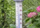 Prognoza meteo pentru luna Ianuarie. Temperaturi mai ridicate decât cele normale