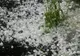 Prognoza meteo pentru următoarele două săptămâni 