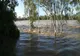AVERTIZĂRI HIDROLOGICE ȘI METEOROLOGICE: CODURI ROȘII ȘI PORTOCALII PENTRU JUDEȚELE DIN MOLDOVA, BANAT ȘI DOBROGEA