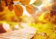 Vremea în septembrie: ANM anunță temperaturi peste normal. Prognoza pe 4 săptămâni